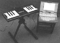 Michela-comp